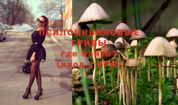 герыч Алзамай
